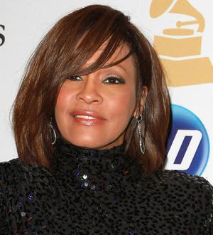 Whitney Houston was found 'face down in bathtub'
