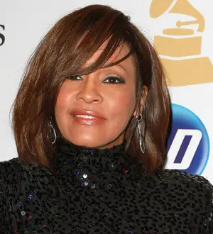 Whitney Houston was found 'face down in bathtub'