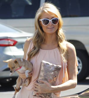 Paris Hilton dating new model after splitting from Viiperi - report