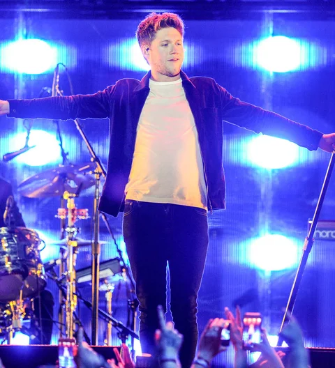 Niall Horan won't rule out One Direction collaborations for solo album