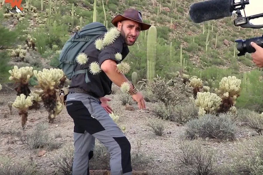 VIRAL ALERT: Brave Wilderness