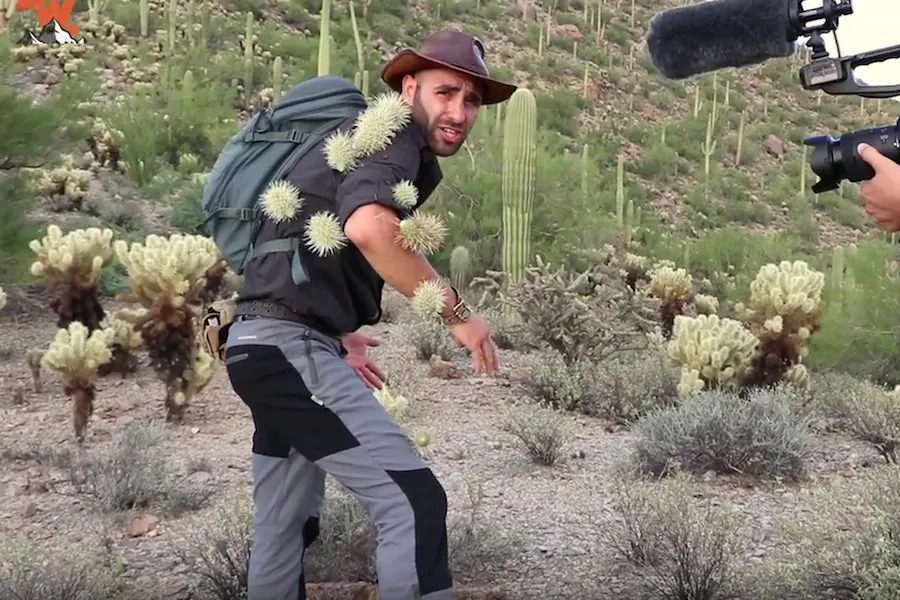 VIRAL ALERT: Brave Wilderness