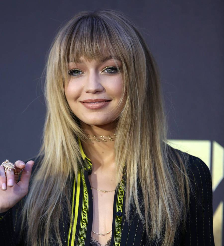 Gigi Hadid convinced Zayn Malik has a future in modeling