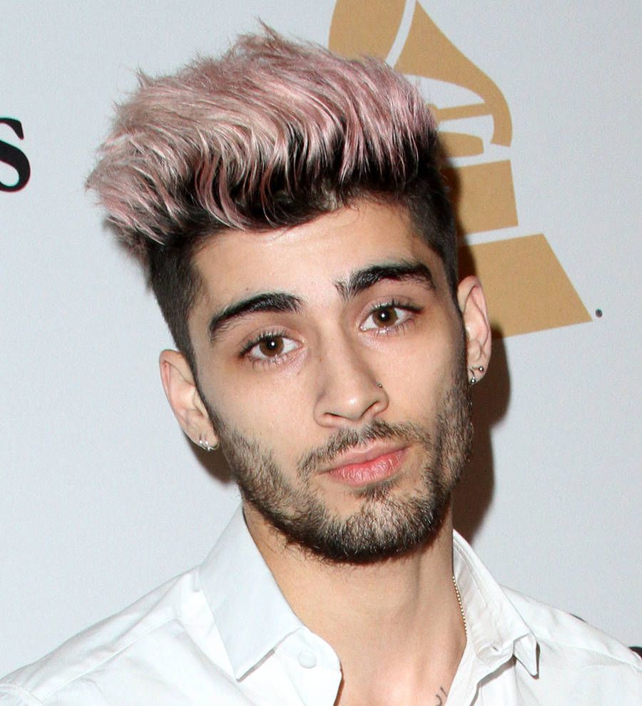Zayn Malik helps fan after fall
