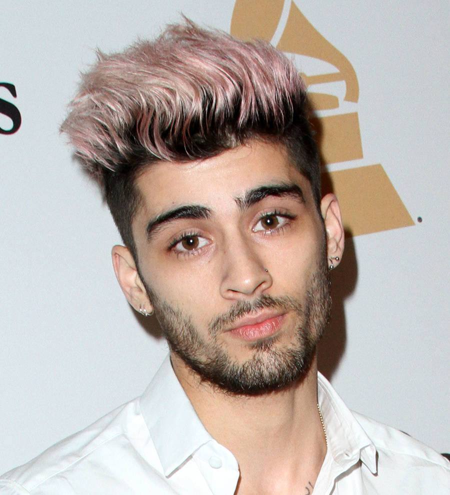 Zayn Malik helps fan after fall
