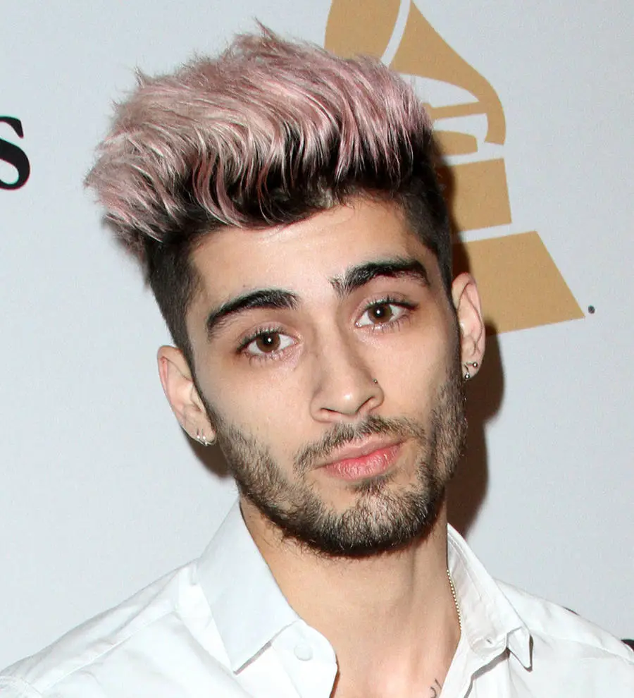 Zayn Malik helps fan after fall