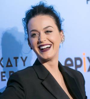 Katy Perry accidentally leaks phone number in dog video