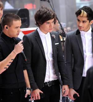 One Direction stars offering VIP trip for charity fundraiser