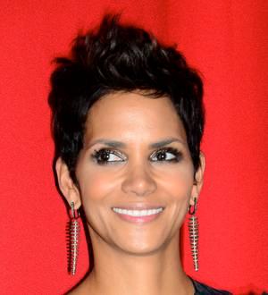 Halle Berry loses court battle