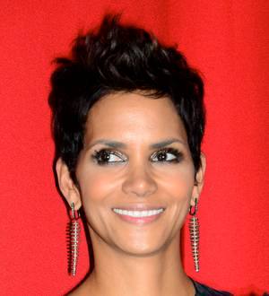 Halle Berry loses court battle