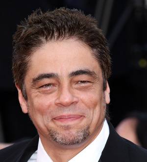 Baby joy for Benicio Del Toro and Kimberly Stewart