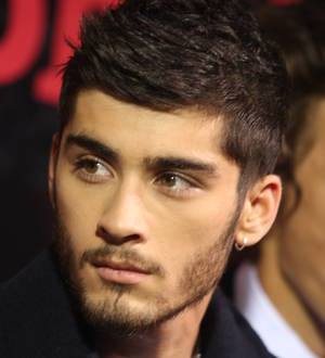 Zayn Malik's Twitter followers plummet