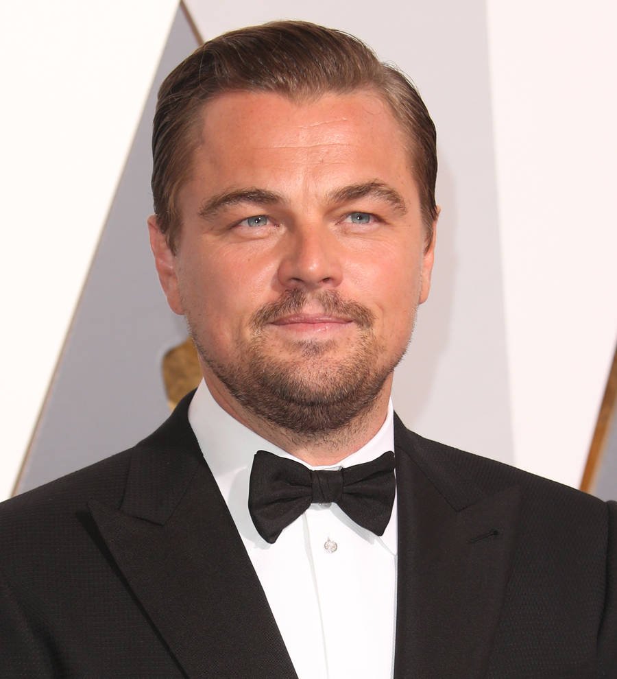 Leonardo DiCaprio and Spotlight strike gold at 2016 Oscars