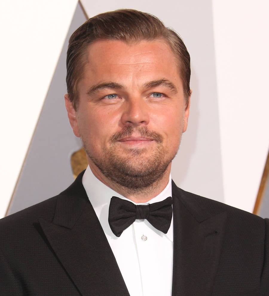 Leonardo DiCaprio and Spotlight strike gold at 2016 Oscars