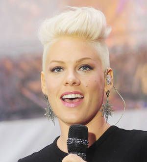Pink fan arrested after bomb tweet