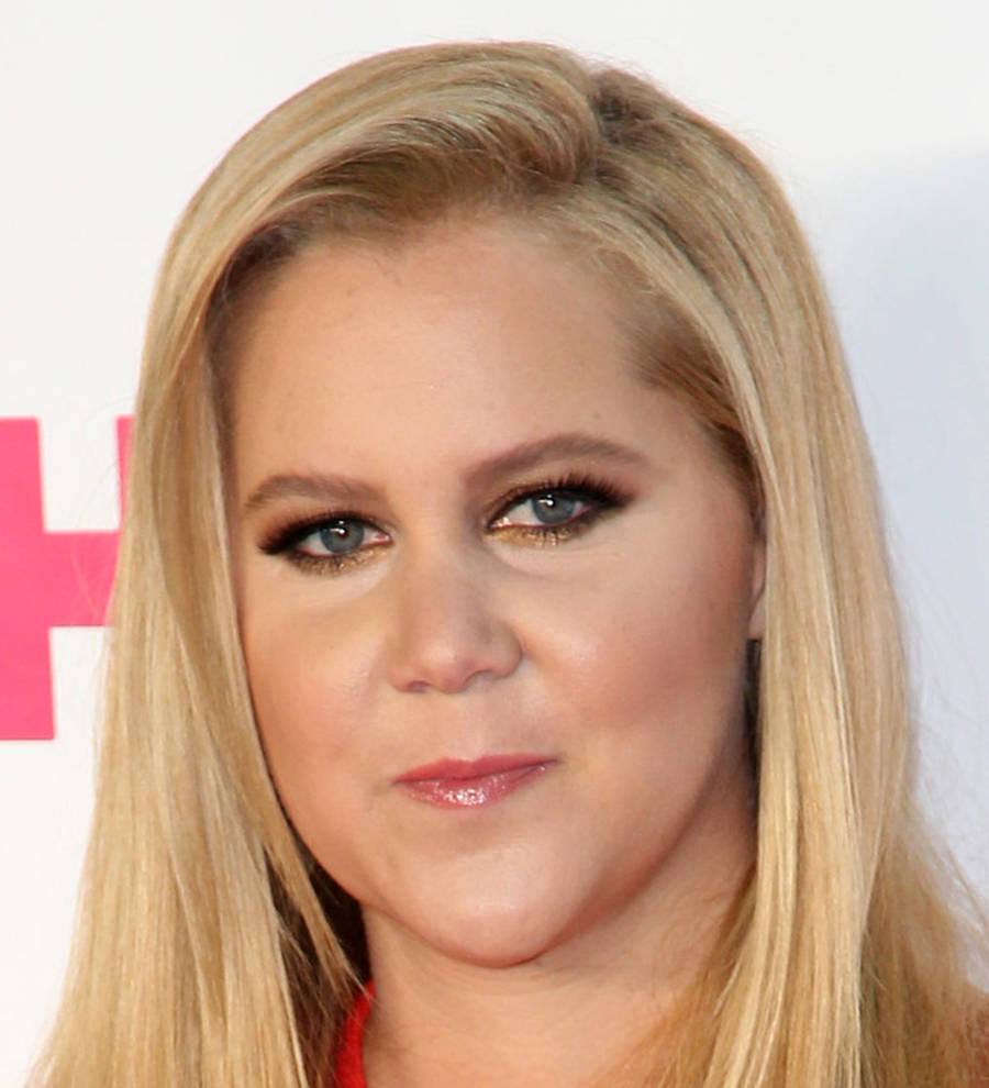 Amy Schumer's boyfriend protects comic from fans by photographing them