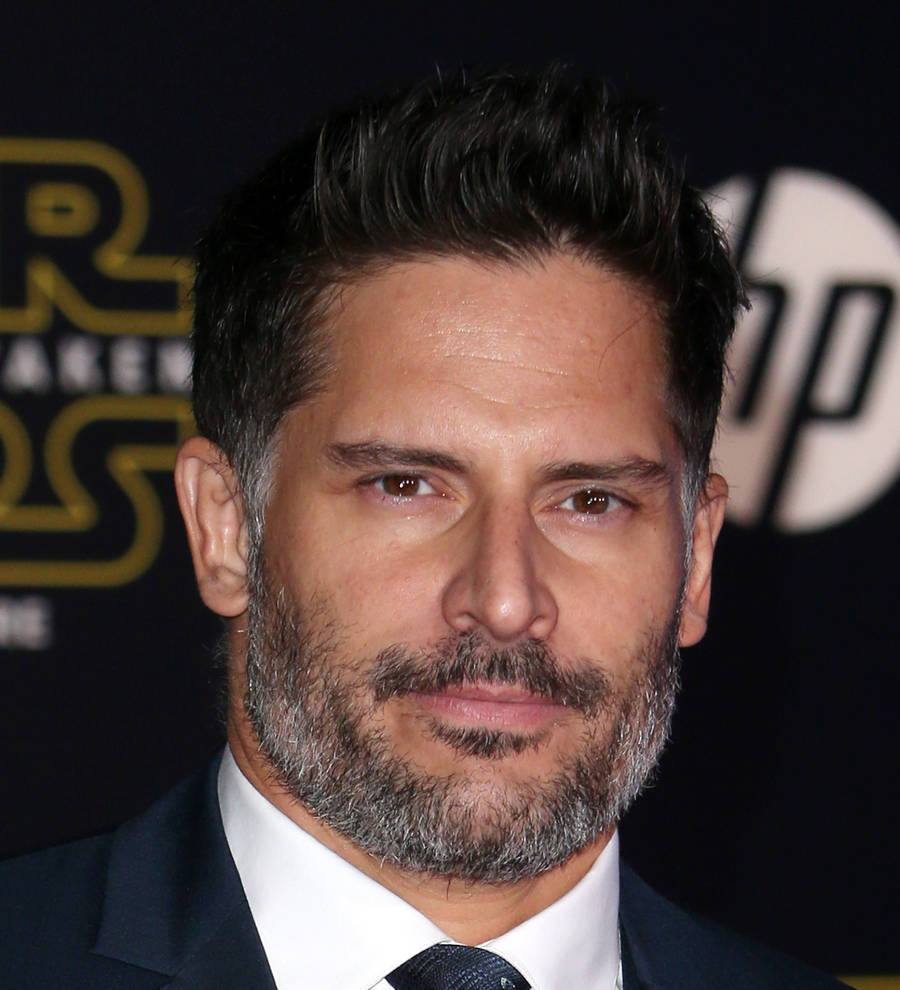 Joe Manganiello taking up Kung fu and katana training for The Batman
