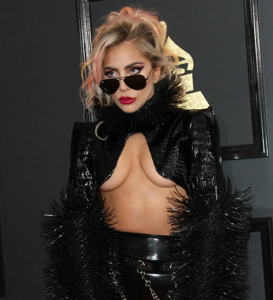 Lady Gaga working on secret The Love Project