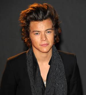 One Direction fans go crazy for Harry Styles app