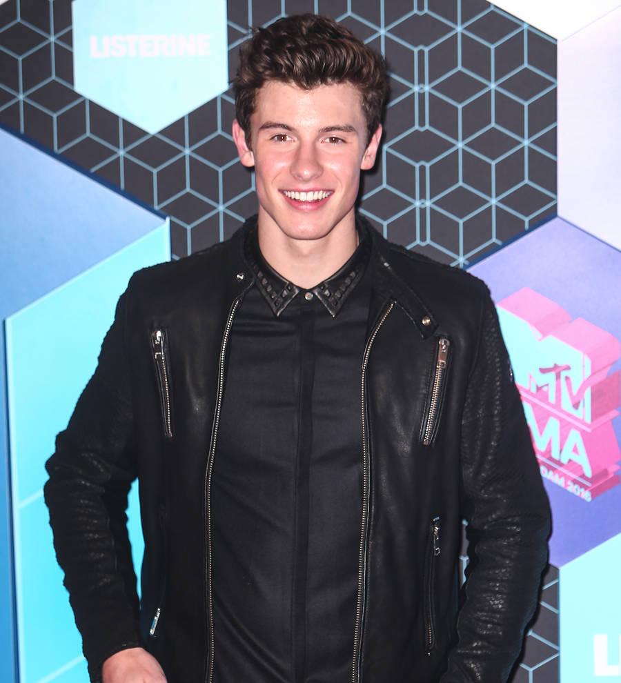 Shawn Mendes turns wedding singer
