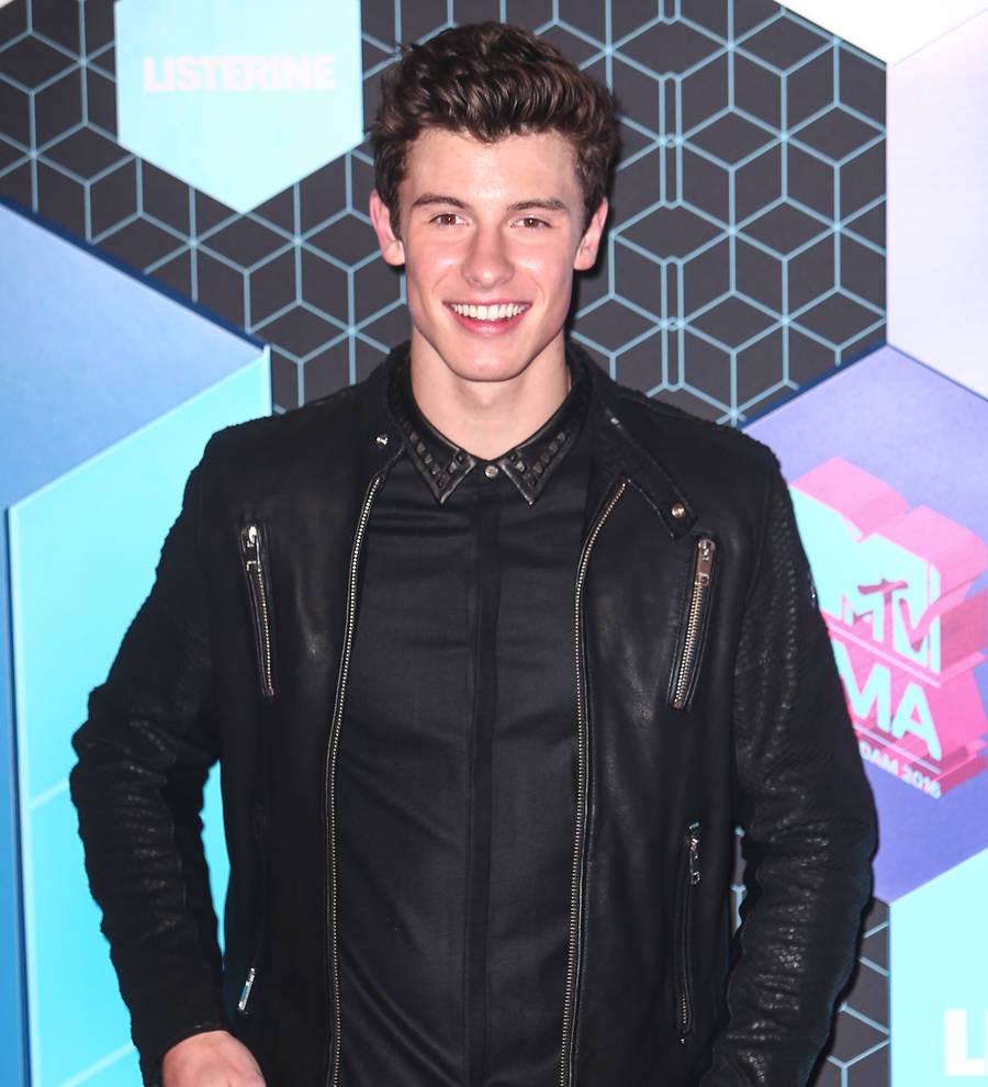 Shawn Mendes turns wedding singer