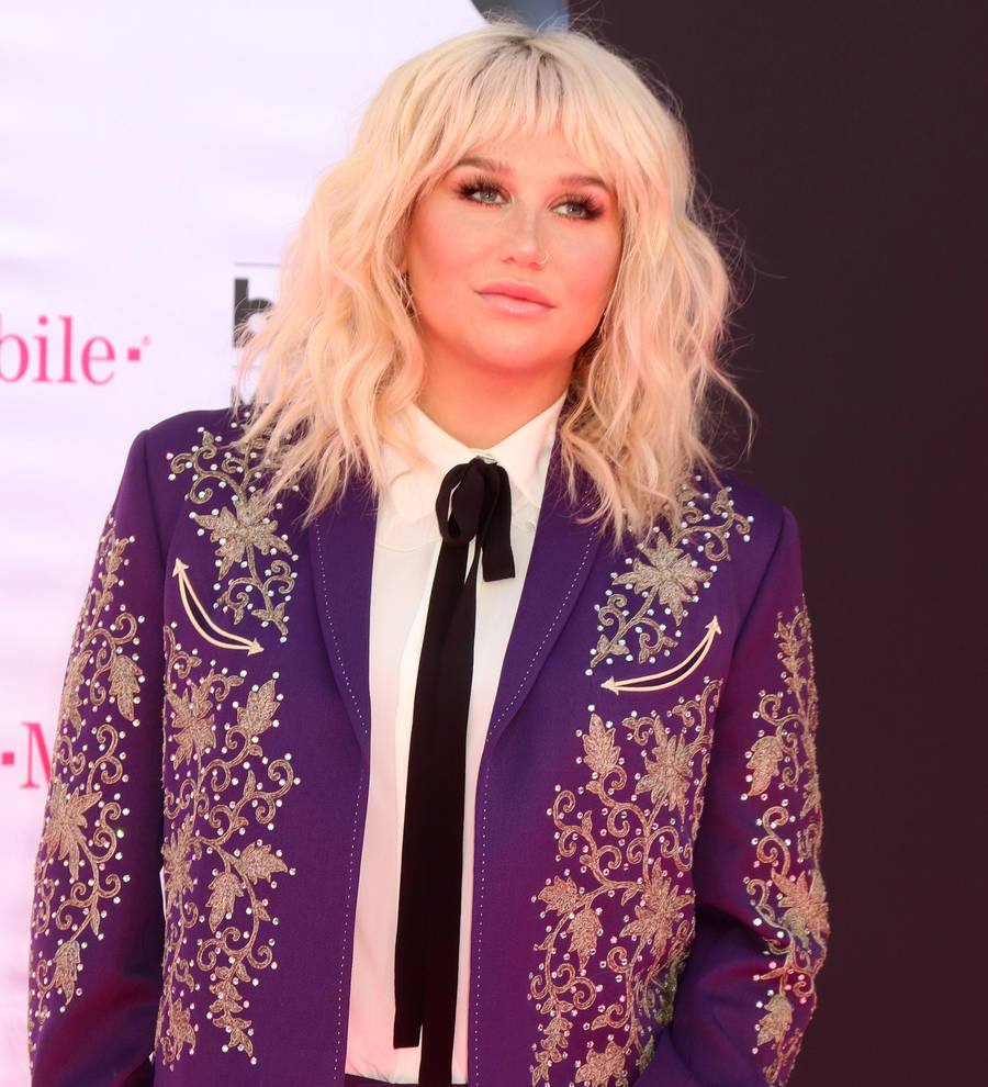 Kesha helps gay couple get engaged onstage
