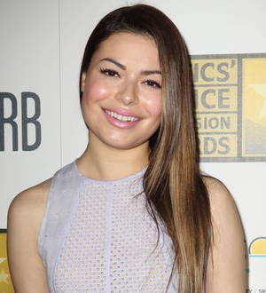 Miranda Cosgrove files lawsuit against former tour bus driver