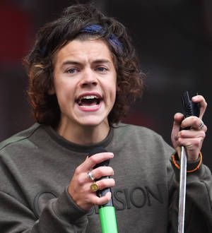 Harry Styles 'nude picture' surfaces online