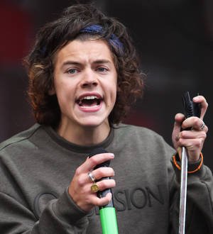Harry Styles 'nude picture' surfaces online
