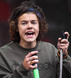 Harry Styles 'nude picture' surfaces online