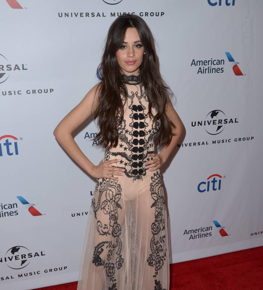 Camila Cabello: 'I share all of my boy troubles with Taylor Swift'