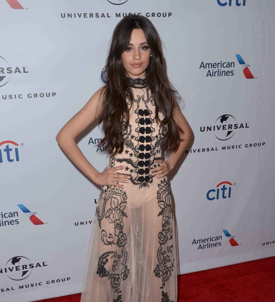 Camila Cabello: 'I share all of my boy troubles with Taylor Swift'