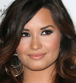 Demi Lovato: 'Meltdown not caused by break-up'