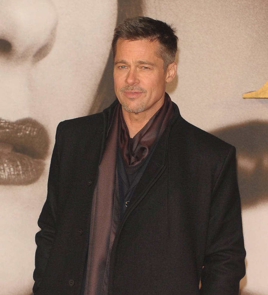 Brad Pitt joins Frank Ocean for FYF Fest set