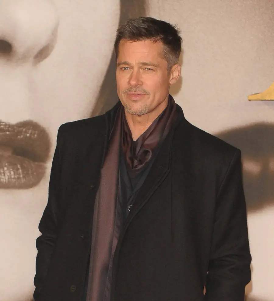 Brad Pitt joins Frank Ocean for FYF Fest set