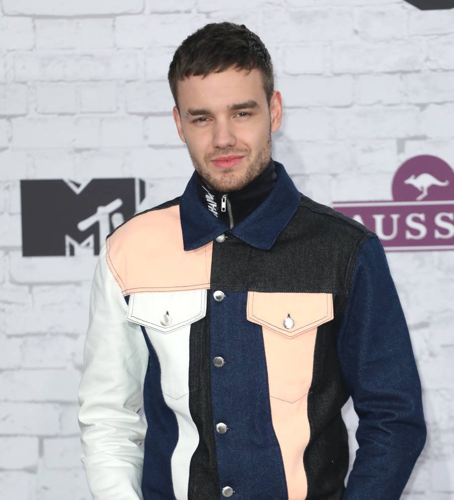 Liam Payne opens up about depression battle on the road with One Direction