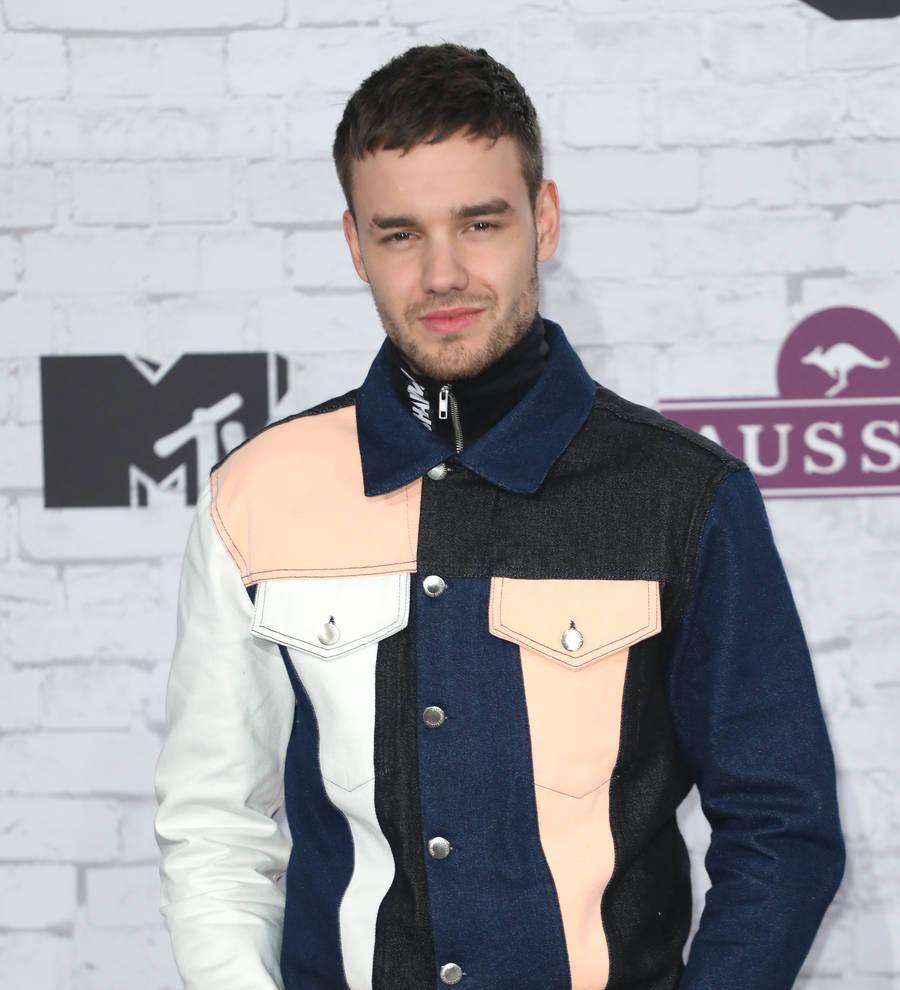 Liam Payne opens up about depression battle on the road with One Direction