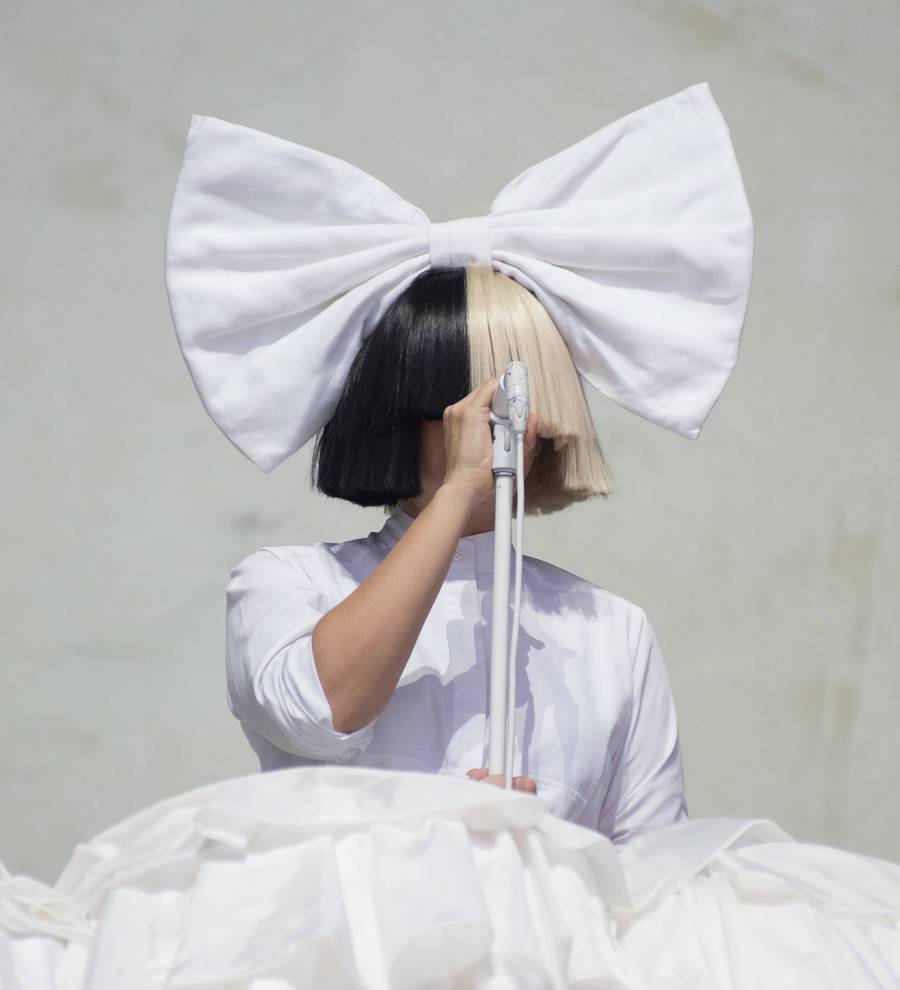 Sia wrote Camila Cabello tune after toilet brainstorm