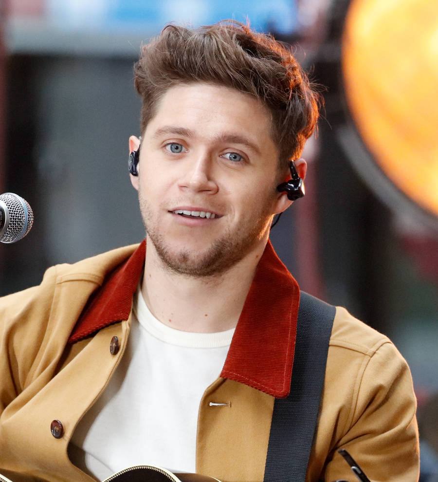 Niall Horan's 'mind is blown' after debut album Flicker tops Billboard charts