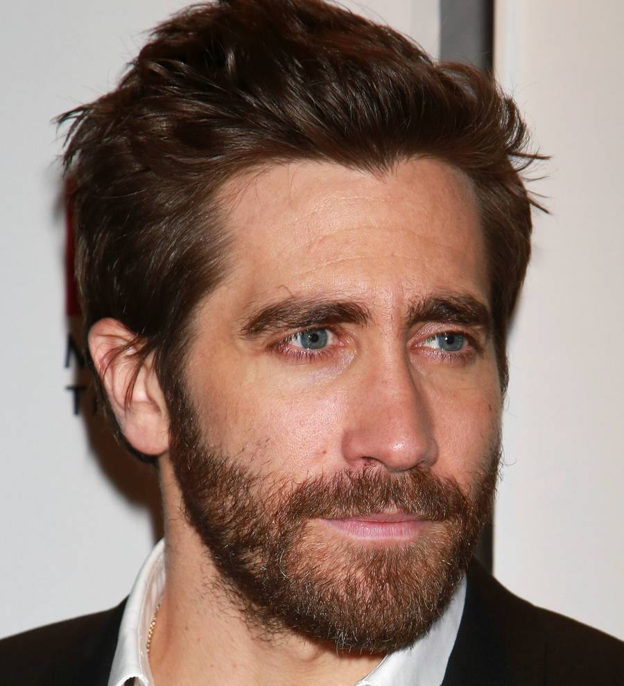Jake Gyllenhaal developing cult TV series