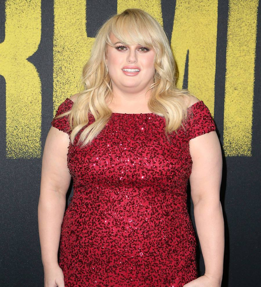Rebel Wilson used martial arts training for Pitch Perfect 3