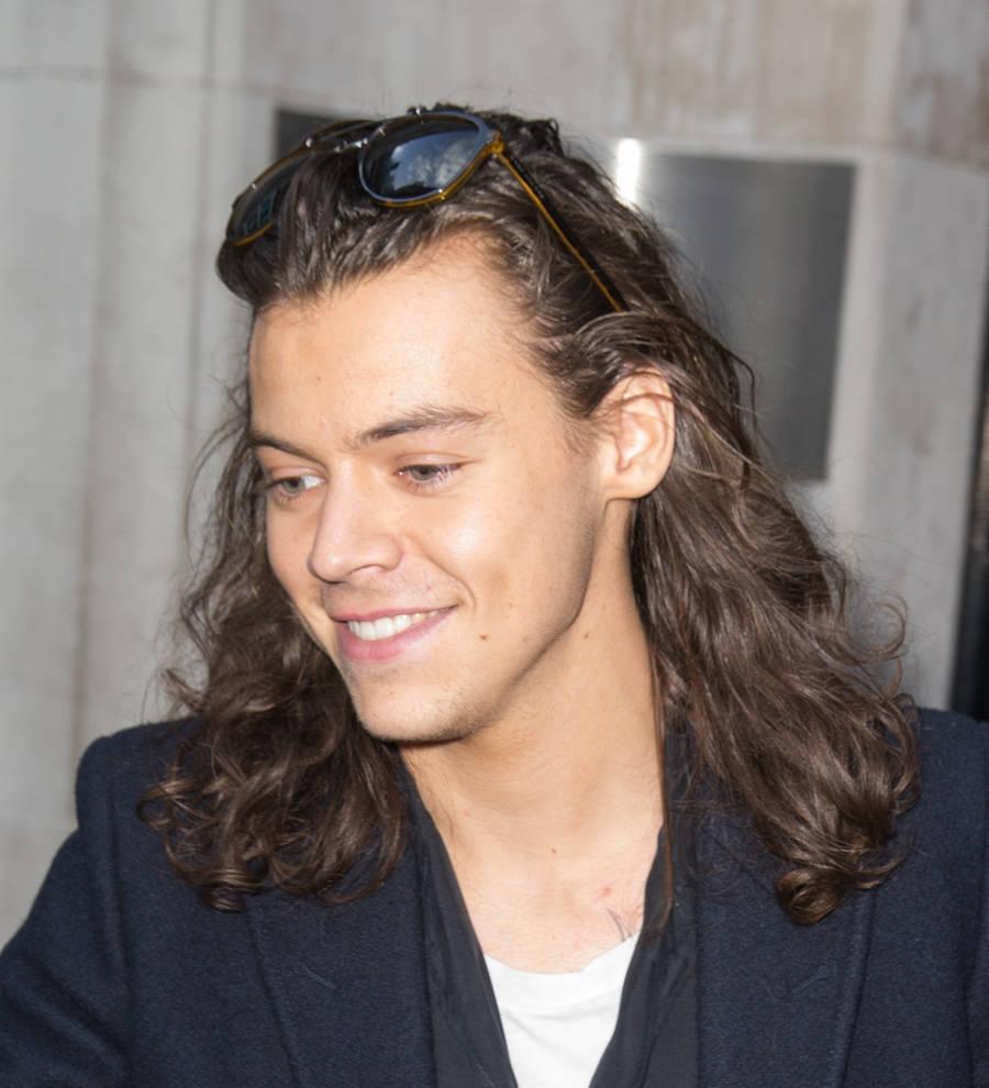 Harry Styles: 'I hooked up with a fan'