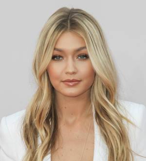Gigi Hadid fan charged with stalking
