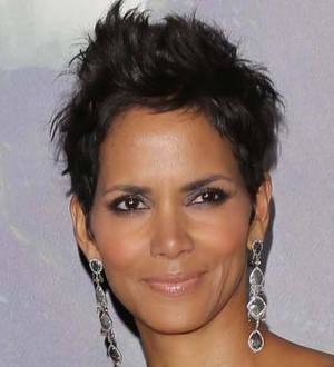 Halle Berry and Olivier Martinez wed in France