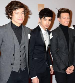 One Direction recruiting fans for 3D movie