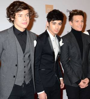 One Direction recruiting fans for 3D movie