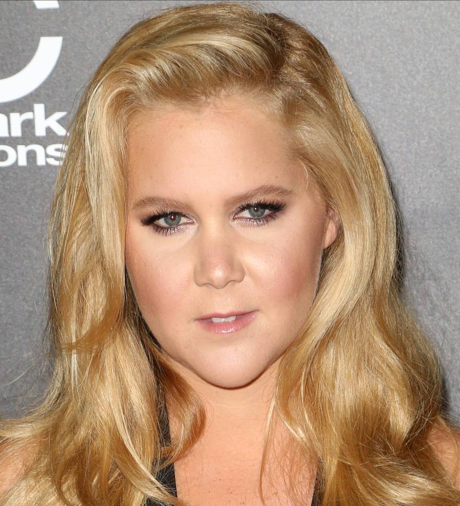 Amy Schumer apologizes for short stand-up gig