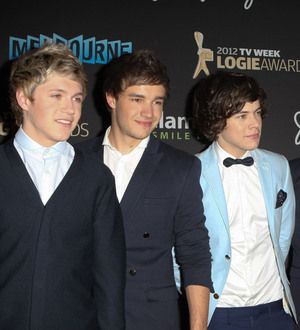One Direction brave Niagara Falls