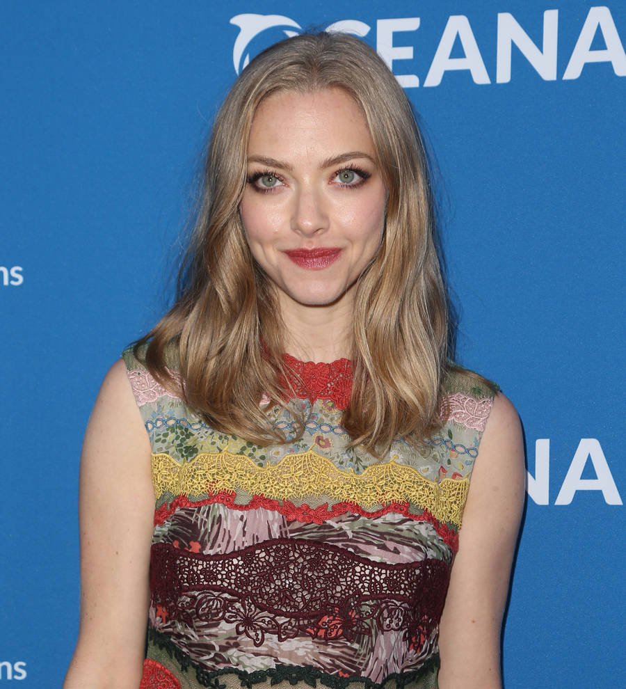 Amanda Seyfried splits from Justin Long - report