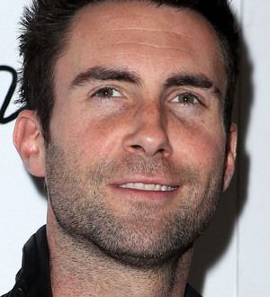 Maroon 5 want fans for new video